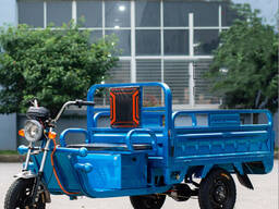 800W Electric Adult Tricycle E-Trike 60V 32A Battery 3-Wheel Bicycle