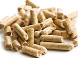 A1 Enplus Wood Pellet