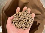 Agripellets (straw) 24-120 ton / month from Poland - фото 1