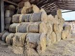 Agripellets (straw) 24-120 ton / month from Poland - фото 3
