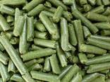 Alfalfa hay, Alfalfa Pellets, Alfalfa Cubes for animal feed - фото 1