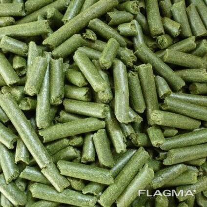 Alfalfa hay, Alfalfa Pellets, Alfalfa Cubes for animal feed