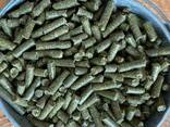 Natural Alfalfa Hay Feed Grade for Horse Chicken Cattle 25kg/ Timothy Hay / Alfalfa pellet - photo 3