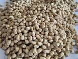 Animal Feed - Bulk Supply Direct from Farm &amp; Factory - фото 3