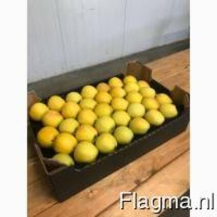 Apples fresh