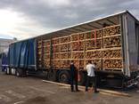 Ash/Oak Firewood - photo 2