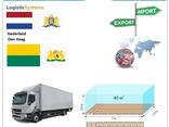Автотранспортні вантажні перевезення з Гааги в Гаагу разом з Logistic Systems - фото 6