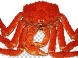 Beste Alaska King Crab Legs groothandel - фото 3