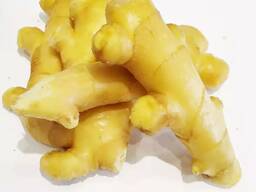 Best Ginger, fresh and Dried