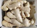 Best Ginger, fresh and Dried - photo 1