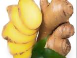 Best Ginger, fresh and Dried, best market price - photo 1