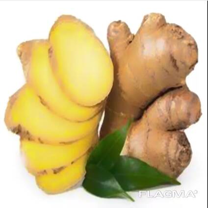 Best Ginger, fresh and Dried, best market price