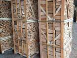 Beukenhout - photo 3