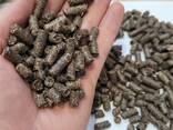 Boekweitkaf brandstofpellets - фото 2