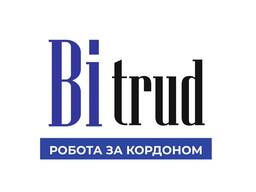Бригадир
