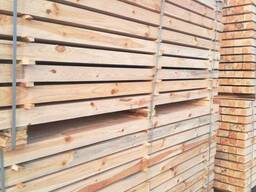 Pine timber