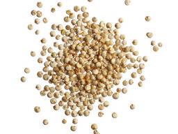Certified Organic Quinoa Seed