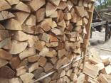 Chopped beech firewood / Дрова колоті букові - фото 13
