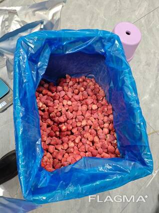 Groothandel in gevriesdroogd fruit