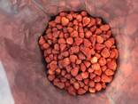 Freeze dried fruits wholesale - фото 1