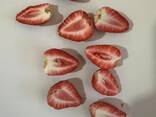 Groothandel in gevriesdroogd fruit - photo 13