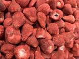 Groothandel in gevriesdroogd fruit - photo 16