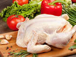 Halal Frozen Chicken, Thigh, Back quarter, Wings , Fillet IPBF , IQF, BF. Ukraine !!!! - фото 2