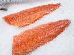 High quality wholesale bulk seafood fresh Salmon frozen fish. Food Grade Factory Directly