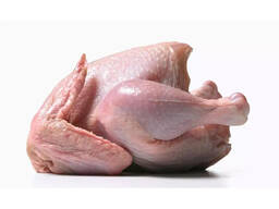 Hoogwaardige Halal Diepvries Hele Kip – Groothandel & Detailhandel