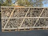 Hornbeam chopped wood - фото 7