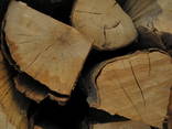 Hornbeam Firewood Beukenhout Haardhout - фото 1