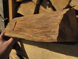 Hornbeam Firewood Beukenhout Haardhout - фото 8