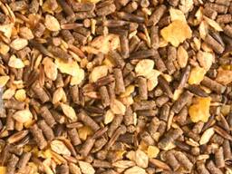 Horse feed supplier in stock