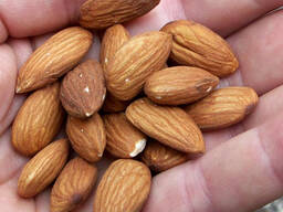 Hot Sale AD Processed Raw/Roasted Dried Bulk Almond Nuts Wholesale Sweet Protein Chinese F
