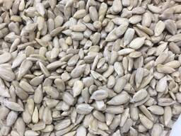 Ik zoek een zakenpartner. Zaken in Minsk