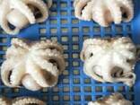 Мороженные морепродукты и рыба в Нидерланды от завода из Китая - фото 6