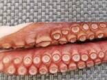 Мороженные морепродукты и рыба в Нидерланды от завода из Китая - фото 8