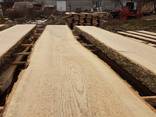 Oak planks not edged, dry - 8%, 50mm 3m 0-1 grade