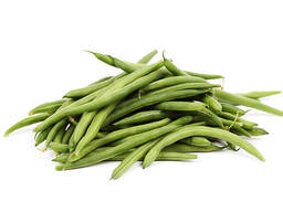 Organic Beans - Organic Haricot Beans