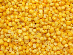 Organic Corn Gluten Meal.