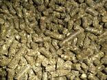Organic sunflower cake - фото 3