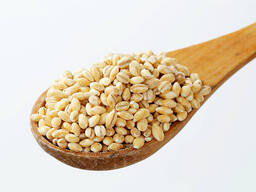 Pearl Barley Groats