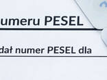 Pesel, Песель, Песель без присутствия, песель без присутності - фото 1