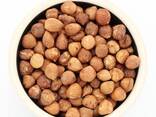 Premium Raw Hazelnut Kernels Bulk Wholesale 11-13mm / 13-15mm Grade AA Natural Dried Blanc - photo 9