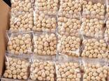 Premium Raw Hazelnut Kernels Bulk Wholesale 11-13mm / 13-15mm Grade AA Natural Dried Blanc - photo 10