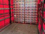 Pringles 165g - photo 15