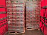 Pringles 165g - photo 16