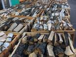 Продам дрова сухие из граба, дуба, ольхи и березы - фото 5