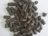 Продам гранулу из шелухи подсолнечника, сосны, дуба и агроотходов - фото 1