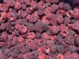 Продам замороженную малину с Украины c Euro 1 - фото 1